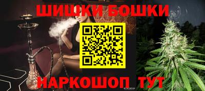 прущие грибы Гатчина