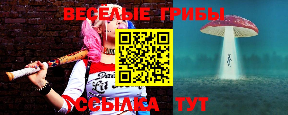 Орёл  Псилоцибиновые грибы Psilocybe  Вход с VPN 